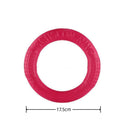 FlyRing EVA Training Disc